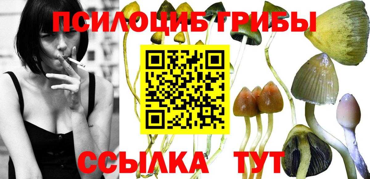 Псилоцибиновые грибы мицелий Спасск-Дальний