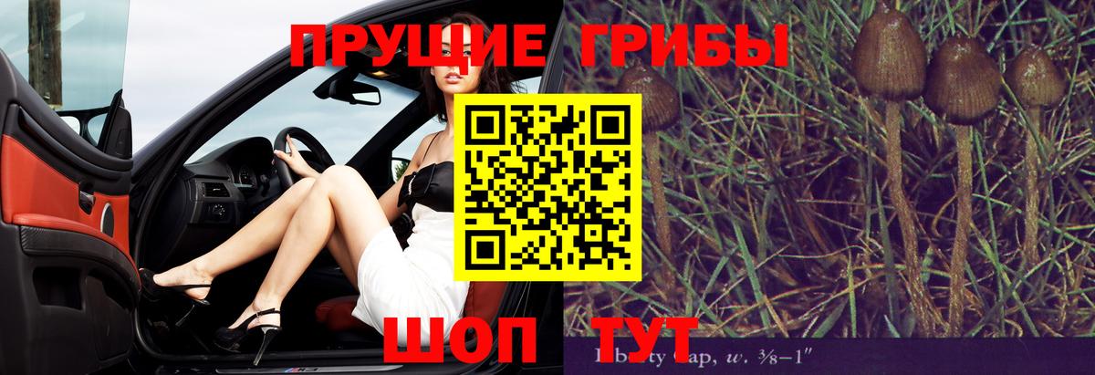 Галлюциногенные грибы GOLDEN TEACHER  Псилоцибиновые грибы MAGIC MUSHROOMS  Вход с VPN  Спасск-Дальний 